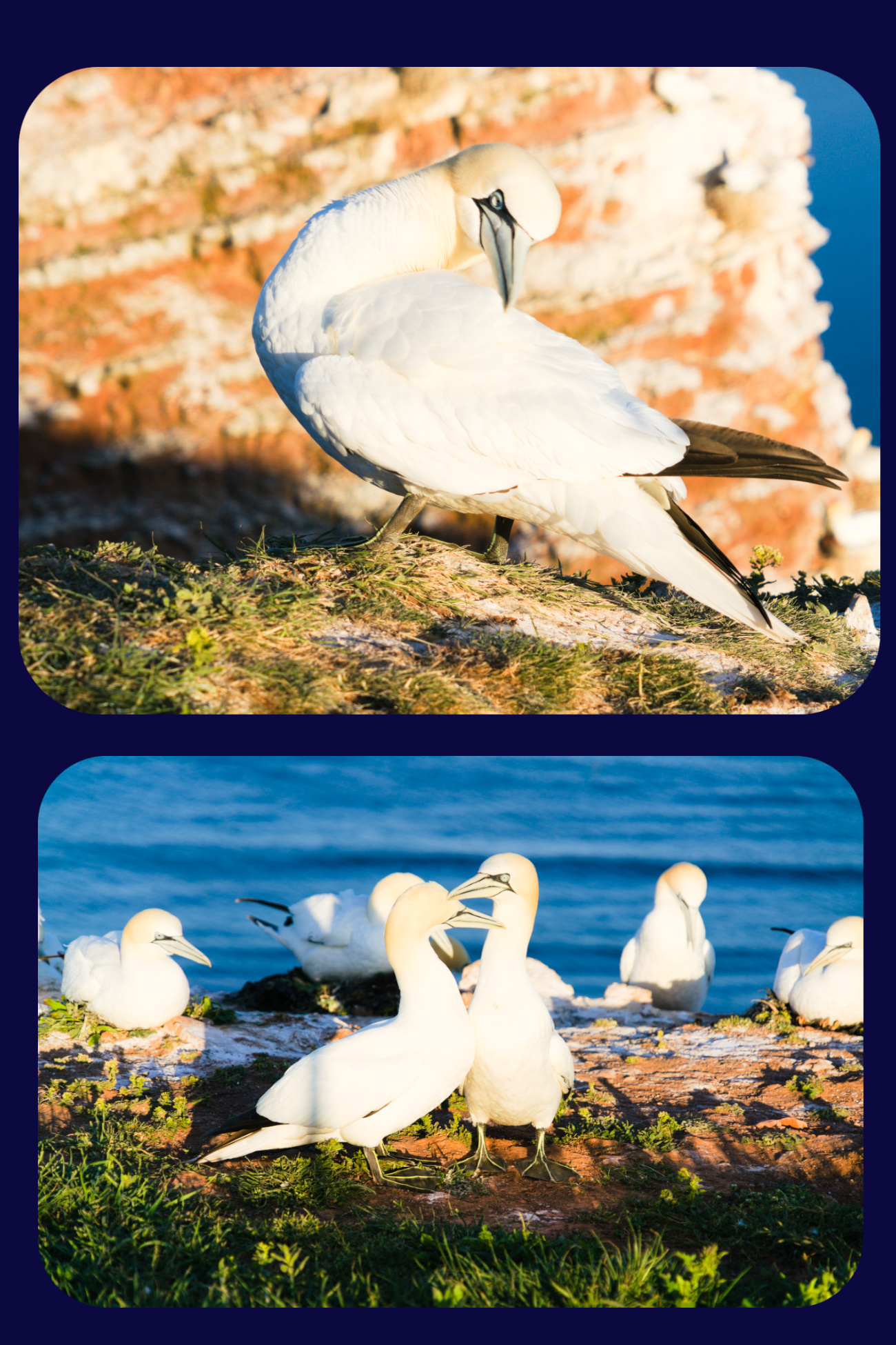 Helgoland